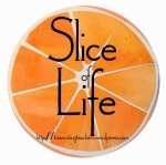 slice of life 2016